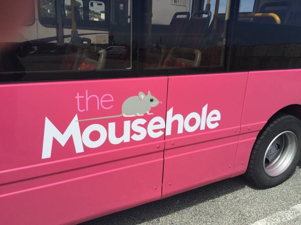 13533164_1073771532688700_5076823156747633821_n