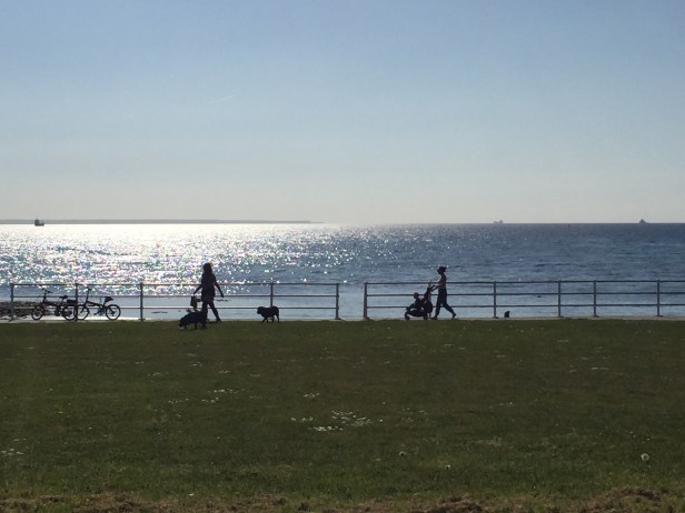 20170423_090626931_iOS